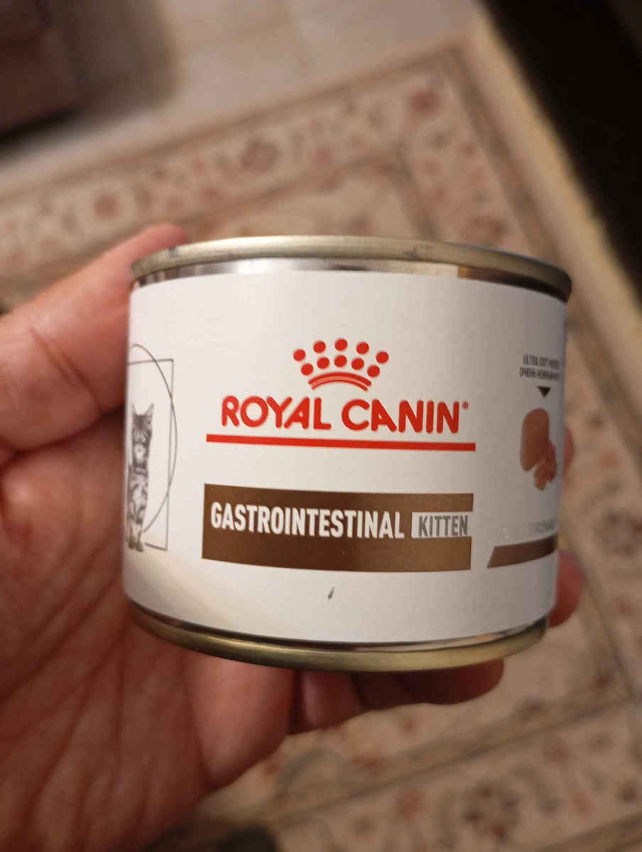 Royal Canin Gastro Intestinal Υγρή Τροφή για Ανήλικες Γάτες σε Κονσέρβα 195gr