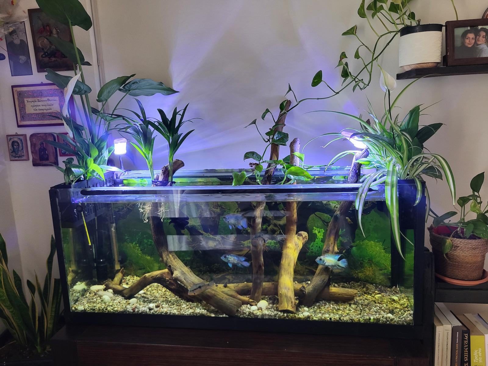 Fluval 207 External Filter 10W for Aquariums up to 220lt with Performance 780lt/h