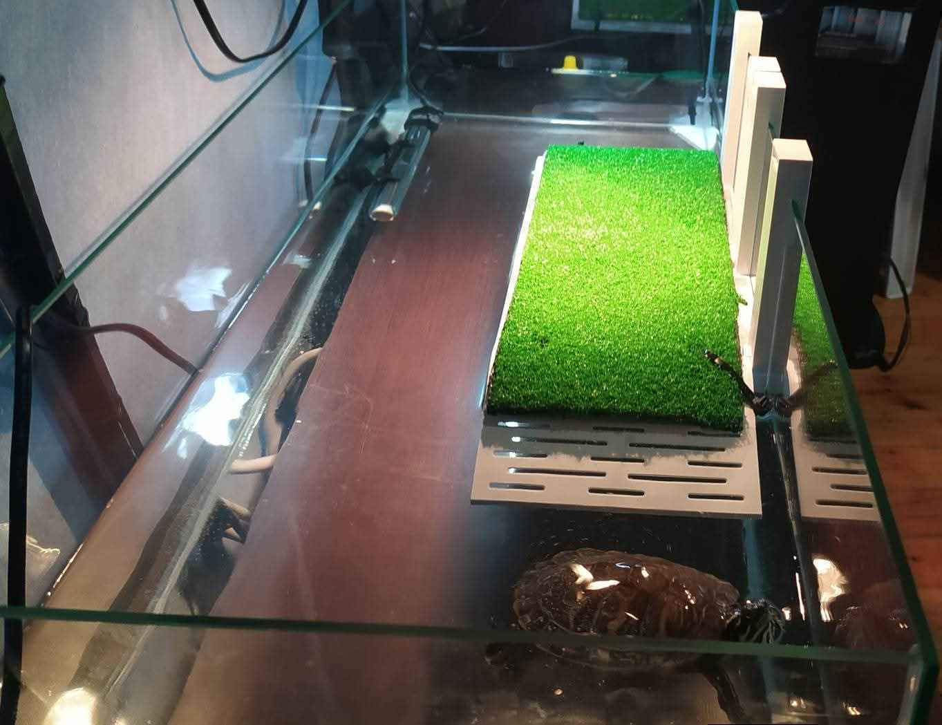 Ciano Reptile Terrarium White