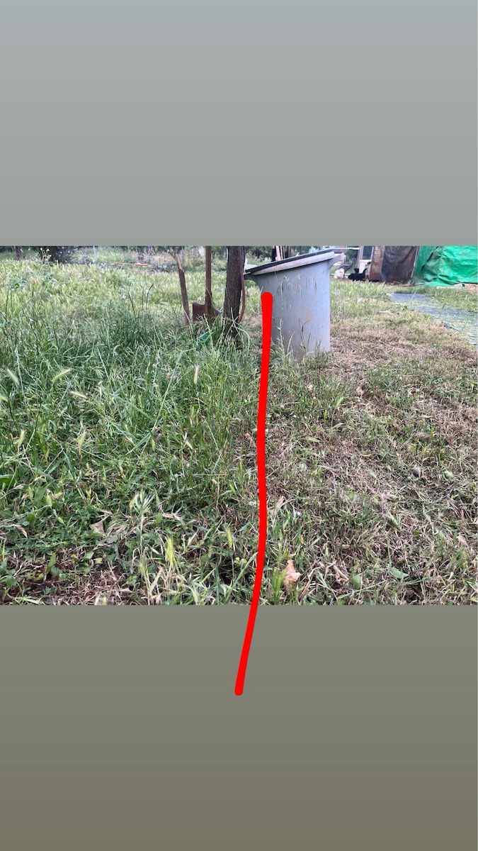 Total Brush Cutter Shoulder / Hand Battery