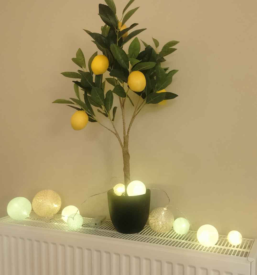 Outdoor Light String