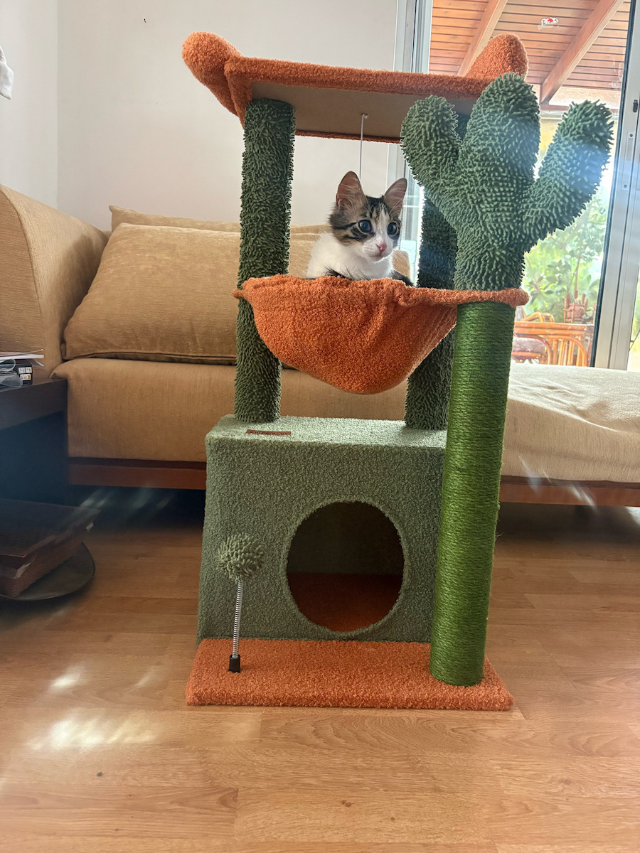 Animal Cactus Scratching Post Cat Trees Green 40x40x84cm