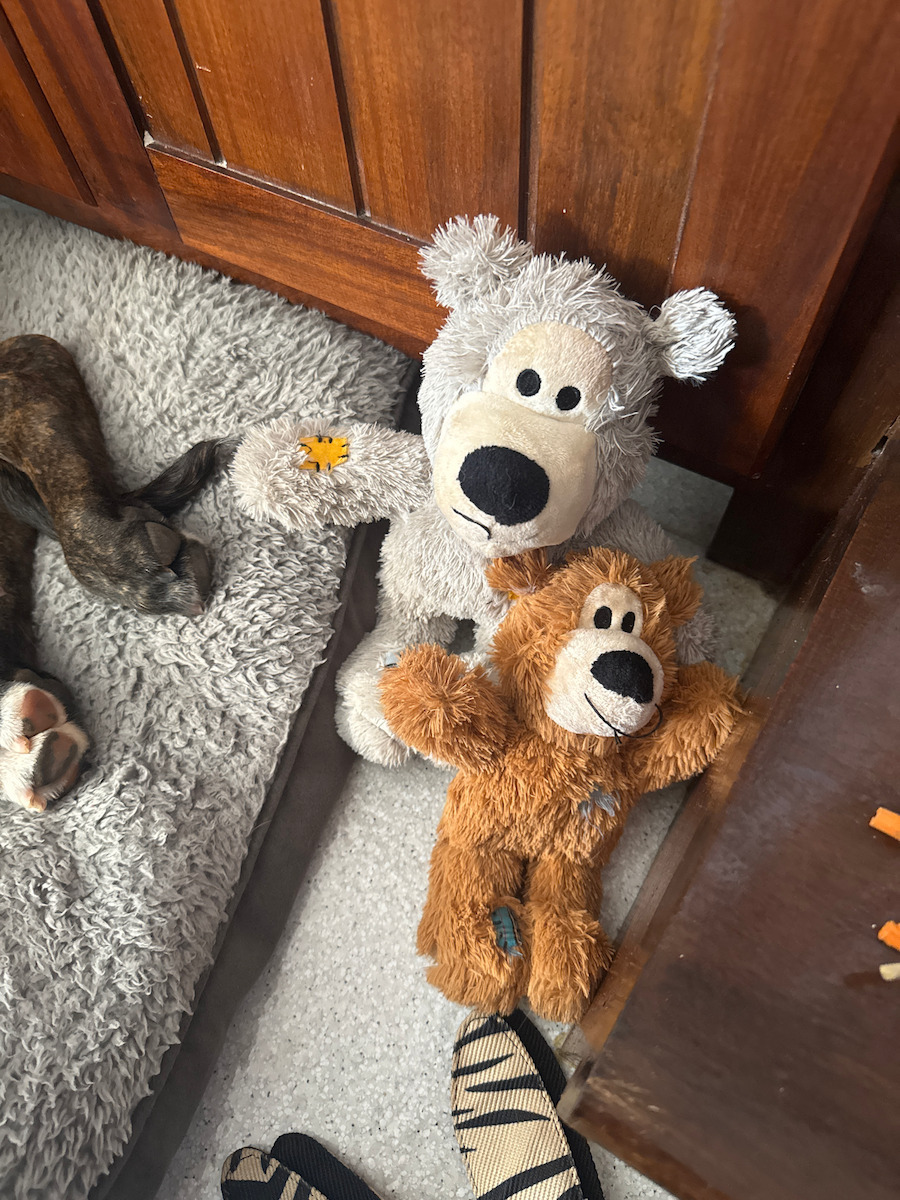 Kong Wild Knots Bear Plüschspielzeug Hund mit Ton Mittel / Groß 25εκ. 1Stück Verschiedene Farben)
