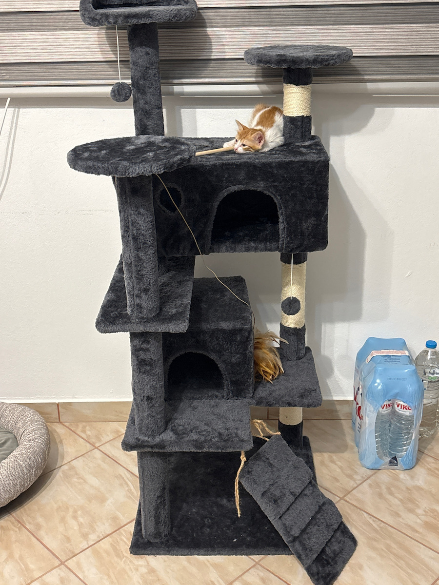 Wallex Scratching Post Cat Trees Gray Wall Mounted / Floor 7 levels 50x50x137cm