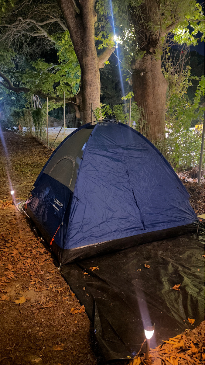 Panda Junior Breeze 3.1 Summer Camping Tent Igloo Blue for 3 People 205x205x130cm
