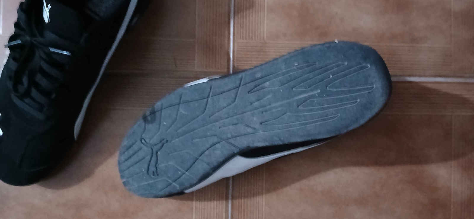 Γυναικεία Sneakers Πορτοκαλί