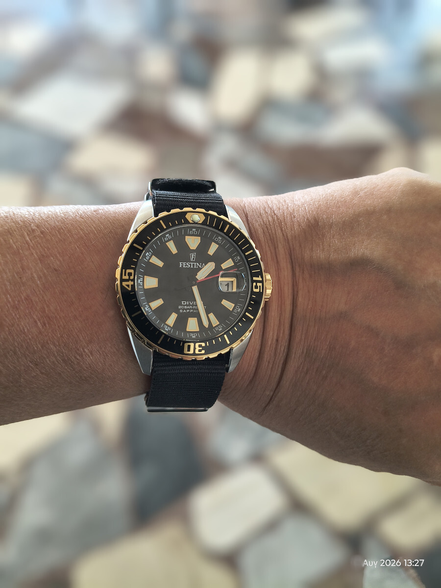 Festina Ceas Barbat cu Baterie si Brățară din Metal Argintie