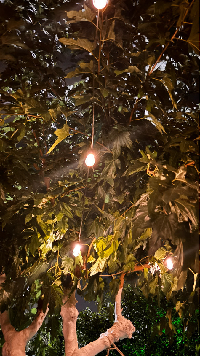 Rixme Hanging Solar Light Garland Warm White 2700K with Photocell and Remote Control 25cmcm