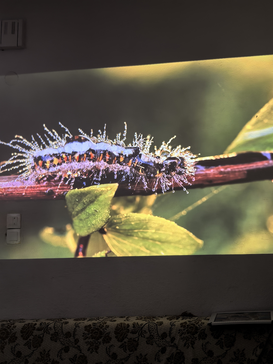 Wanbo Vali 1 Pro Projector LCD Full HD with Wi-Fi and Built-in Speakers WANBOVALI1PWHT