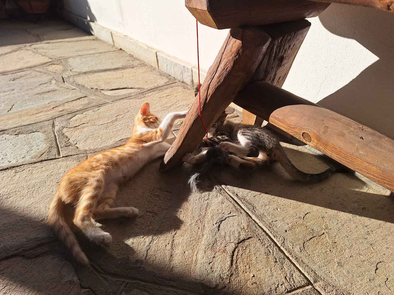 Animal Katzenspielzeug Stab Gray