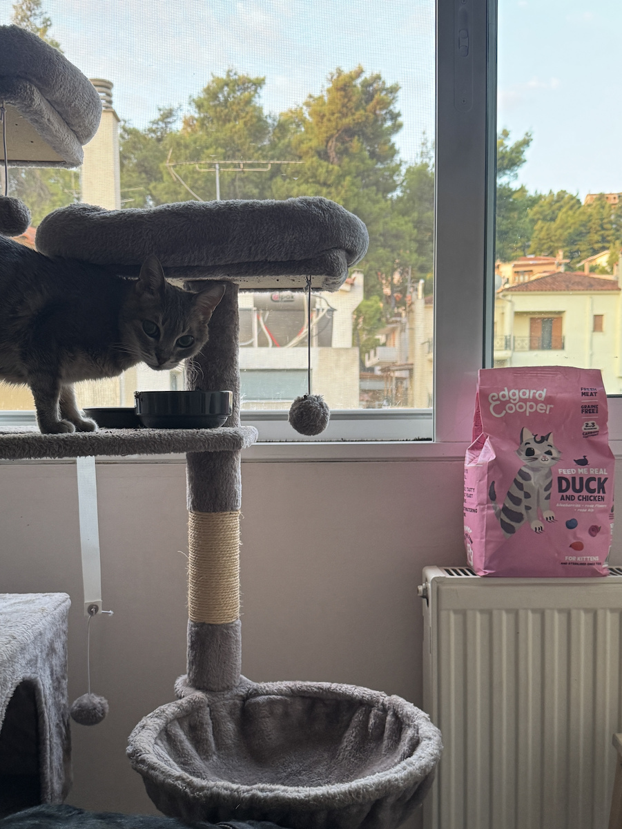 Dry Cat Food for Kittens with Chicken 2kg