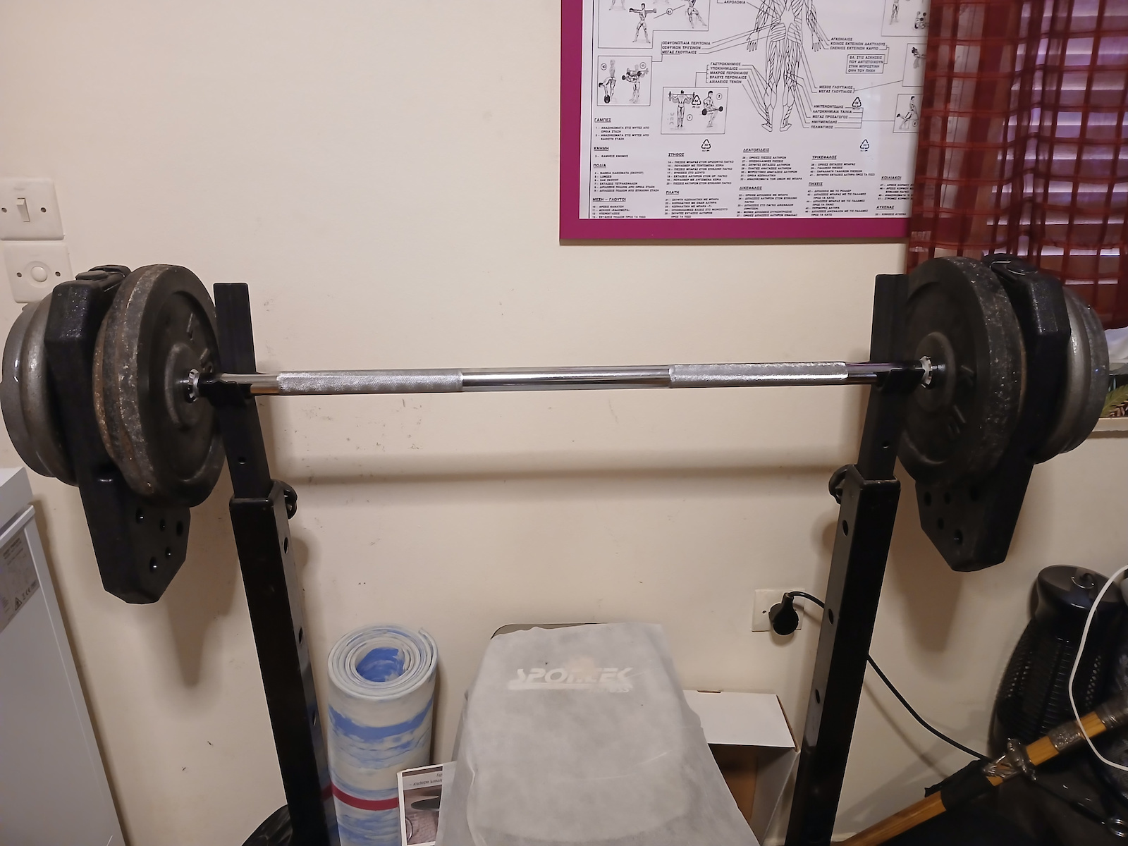 Pegasus Ίσια Μπάρα Φ28mm 6kg Μήκους 120cm με Βιδωτά Κολάρα