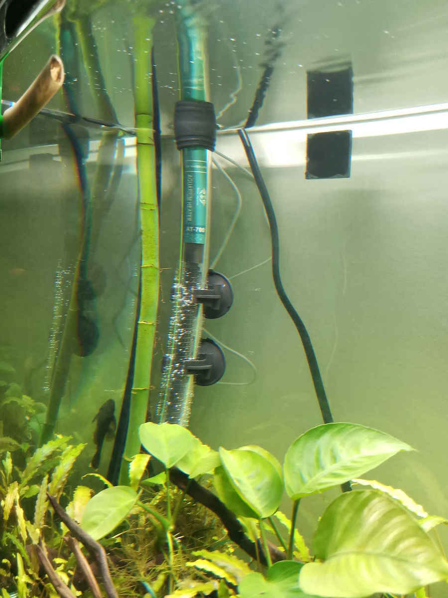 Tpster AT-700 Aquarium-Thermostat 200W