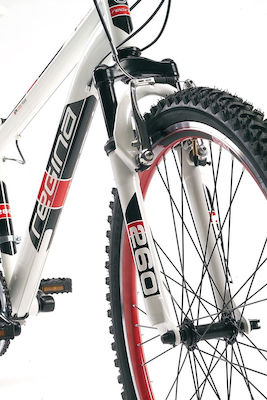 Regina Bolt 26" Suspension Fork