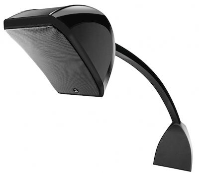 Focal Sib