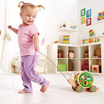 Hape Παιχνίδι Ταξινόμησης Σχημάτων Συρόμενο Σαλιγκάρι από Ξύλο για 12+ Μηνών