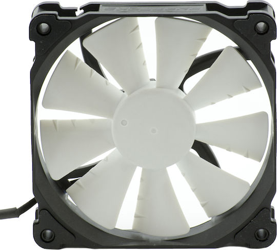 Phanteks PH-F120XP_BK Gehäuselüfter mit Verbindung 4-Pin PWM 1Stück Schwarz