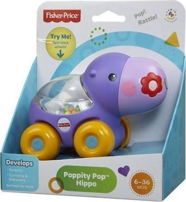 Fisher Price Push Along Poppity Pop with Sounds for 6++ Months (Various Designs/Assortments of Designs) 1pc