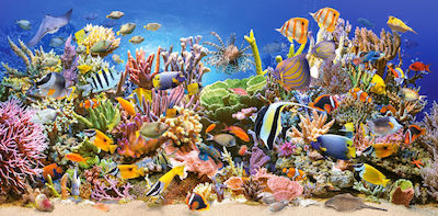 Underwater Life Puzzle 2D 4000 Pieces