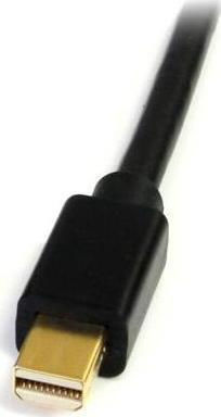StarTech Cable DVI-D male - mini DisplayPort male 1.8m (MDP2DVIMM6)