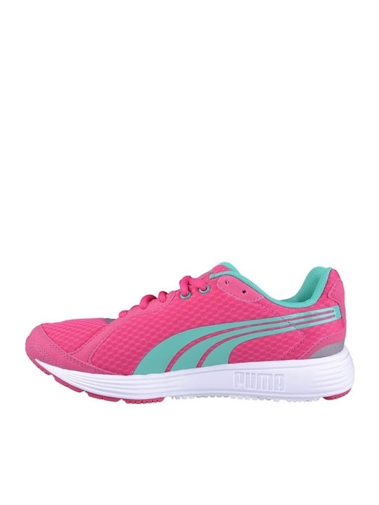 Puma Damen Sportschuhe Laufen Rosa