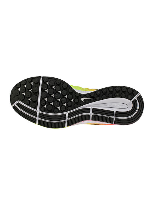 Air Zoom Pegasus 33 OC ULTD Sport Shoes Running Multicolour