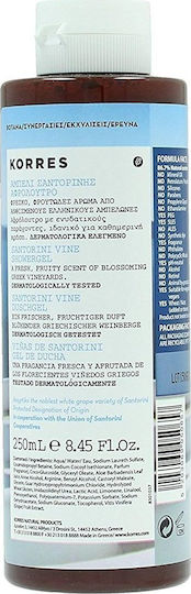 Korres Santorini Vine Αφρόλουτρο σε Gel με Aloe Vera Καταπραϋντικό 2x250ml