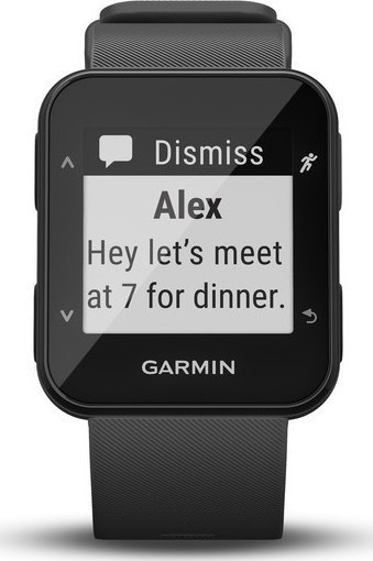garmin forerunner 30 grey