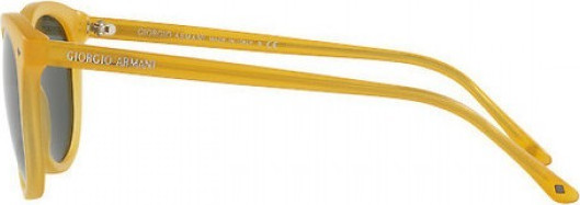 armani art 5006
