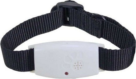 PetTrainer Anti-parasitic for Pets Dog Training Shock Collar for Cat