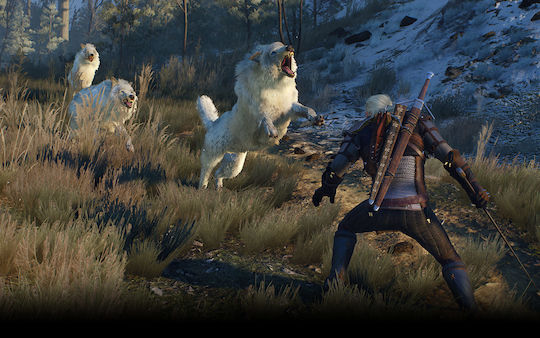 The Witcher 3 Wild Hunt Game of The Year Edition PS4 Game