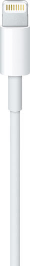 Apple USB-A to Lightning Cable White 1m (MQUE2ZM/A)
