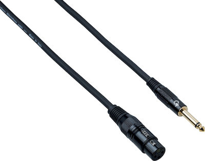 Bespeco XLR female to 6.3mm male 5m Cable (EAJXF500)