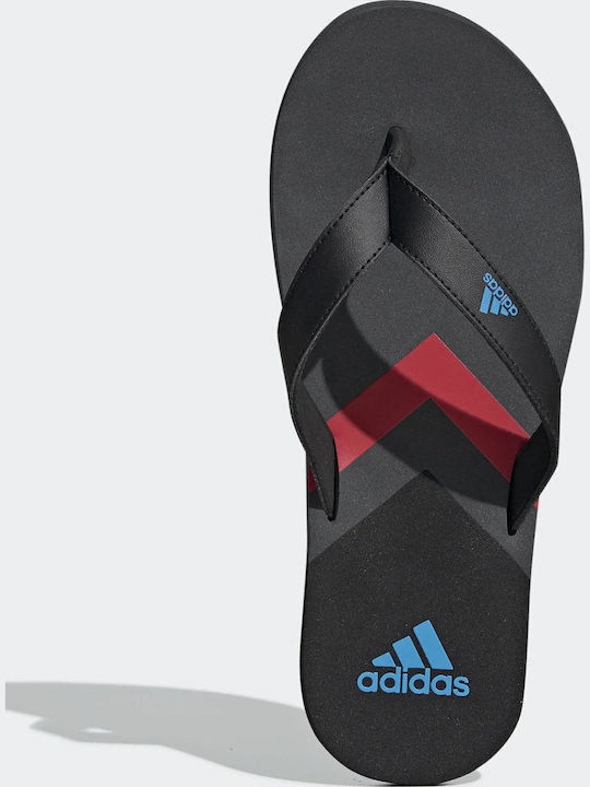 Eezay Men's Flip Flops Black