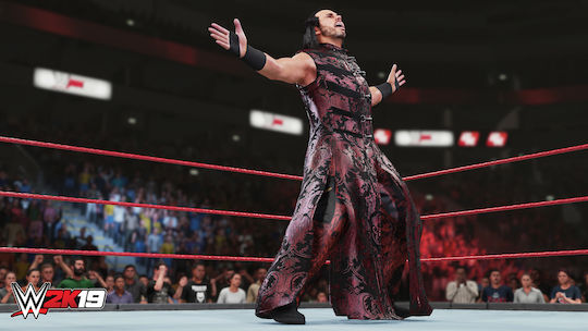 WWE 2K19 PS4 Game