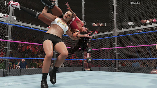 WWE 2K19 PS4 Game