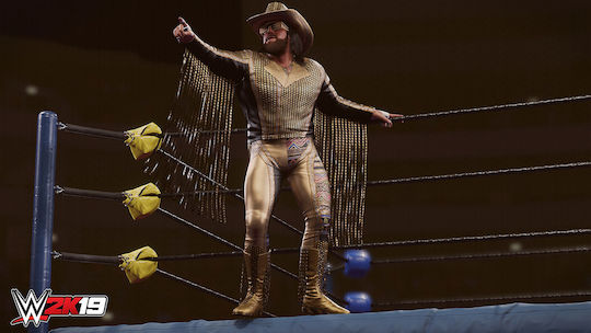 WWE 2K19 PS4 Game