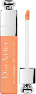 Dior Addict Lip Tattoo Lang anhaltend Flüssig Lippenstift Matt