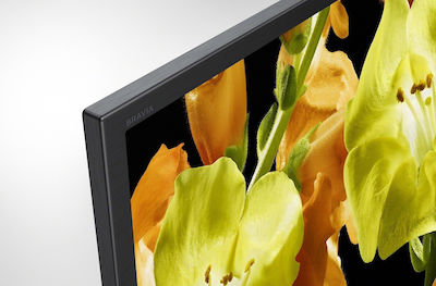 Sony Smart Fernseher 65" 4K UHD Direkte LED KD-65XG8196 HDR (2019)