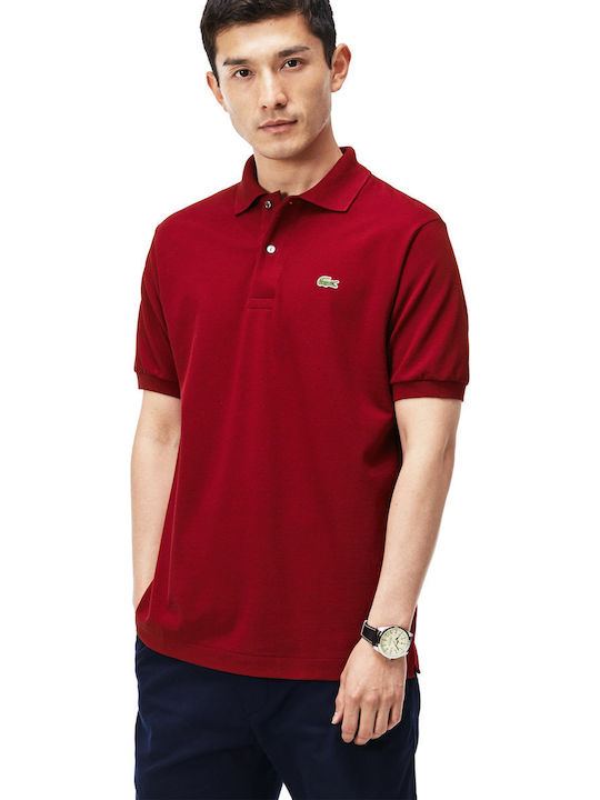 Polo T-shirt Burgundy