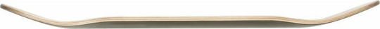 Globe Goodstock Deck 8.25 8.25" Skateboard Kurzboard Grünes
