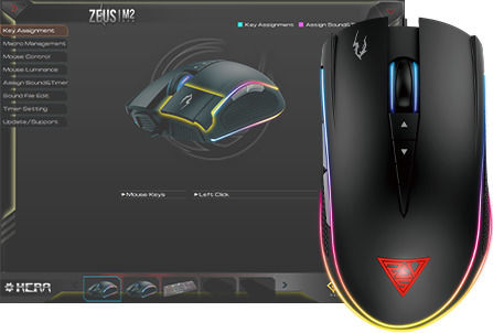 Gamdias Zeus M2 RGB Gaming Gaming Maus 10800 DPI Schwarz