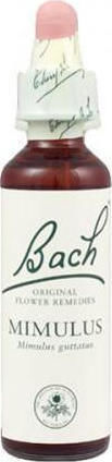 Bach Mimulus Ανθοΐαμα σε Σταγόνες για Χαλάρωση 20ml