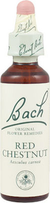 Bach Red Chestnut Esență Florală în Picături pentru Relaxare 20ml