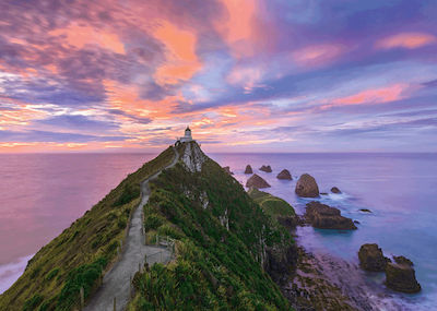 Nugget Point Lighthouse The Catlins South Island New Zealand Puzzle 2D 3000 Pieces