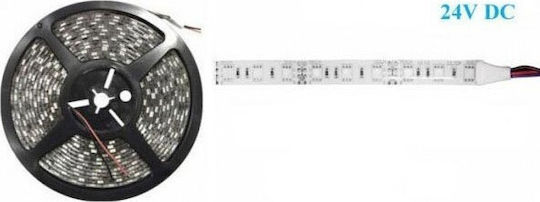 Atman Rezistent la apă Bandă LED 24V Albastru Lumină 5m Tip SMD5050