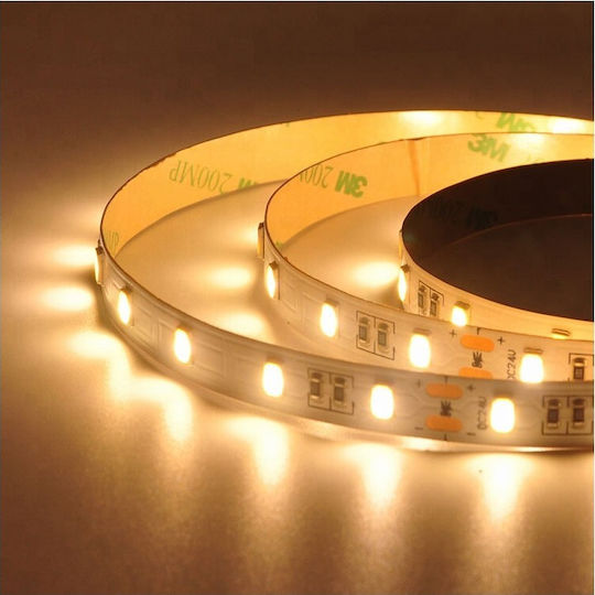 Atman LED Strip 12V Warm White Light 5m Type SMD5630