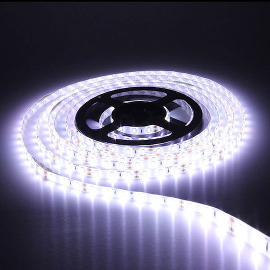 Atman Waterproof LED Strip 12V Cold White Light 5m Type SMD3030