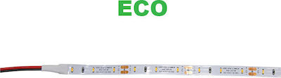 Adeleq Bandă LED Alimentare 12V cu Lumină Albastru Lungime 5m și 60 LED-uri pe Metru SMD3014