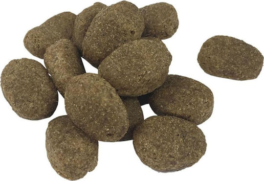 Premium Adult Sensitive 15kg Dry Food for Adult Dogs with Lamb and Rice